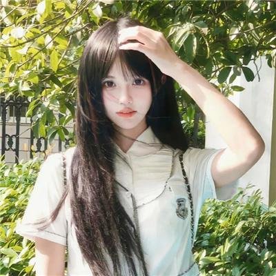 鼩鼱的巢穴